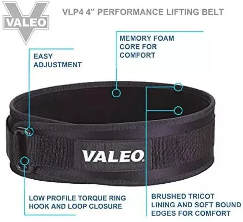 Picture of Back Brace Belt